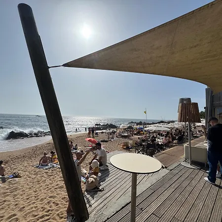 Lili'S Garden Priv Terrace Two Flats Laundry By Mymoradia Διαμέρισμα Πόρτο