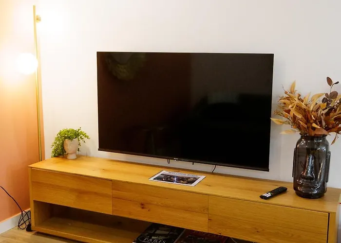 Lili's Garden Priv Terrace Two Flats Laundry By Mymoradia Apartment Porto