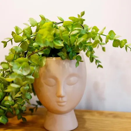 Apartament Old - Tiny House & Luxury Garden By Mymoradia Porto