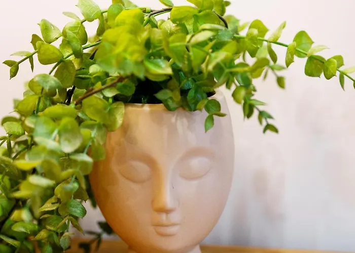 Apartament Lili's Garden Priv Terrace Two Flats Laundry By Mymoradia Porto